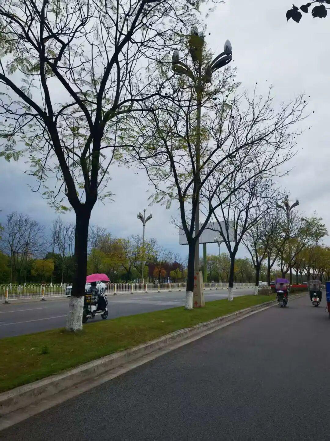 v体育-为什么有2万人来仁寿跑马拉松?