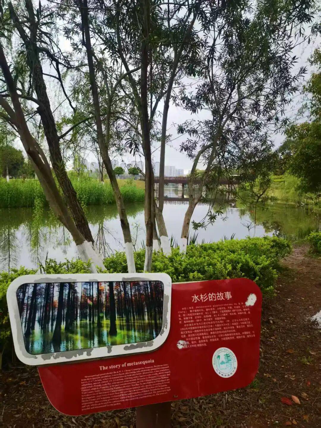 v体育-为什么有2万人来仁寿跑马拉松?